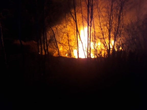 2021-04-20 Brand-Kindsbach 21